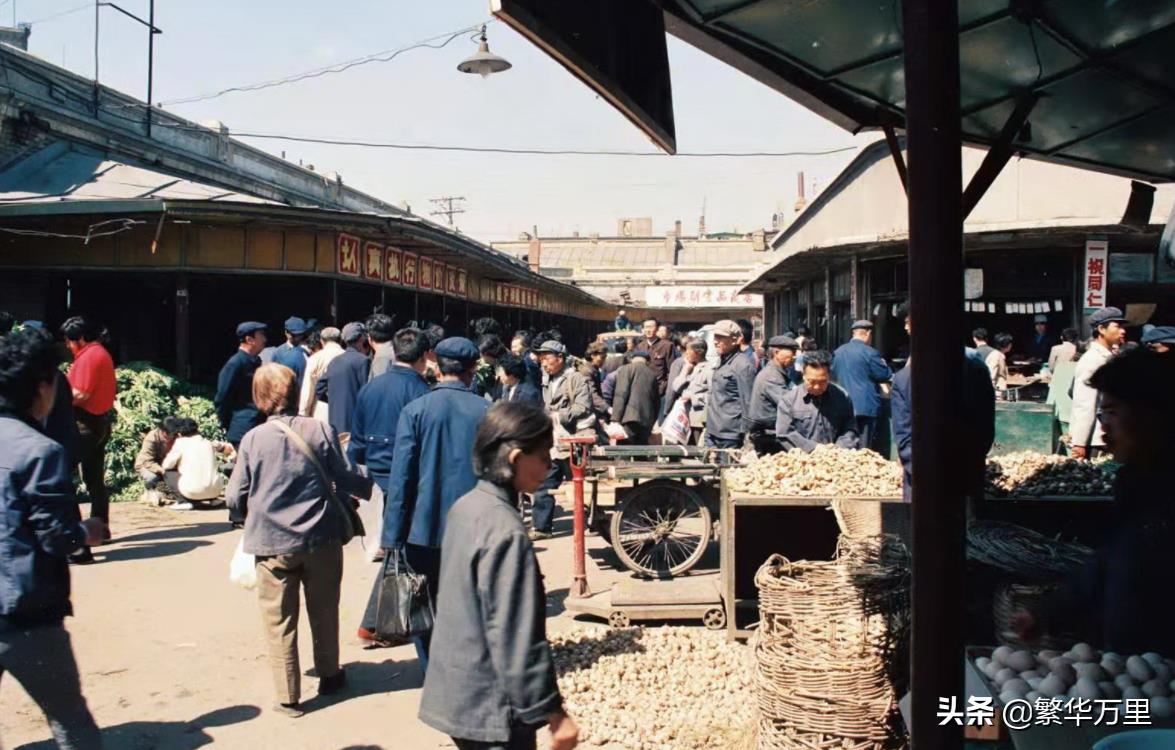 东北有哪些城市(黑龙江省一共有几个市)