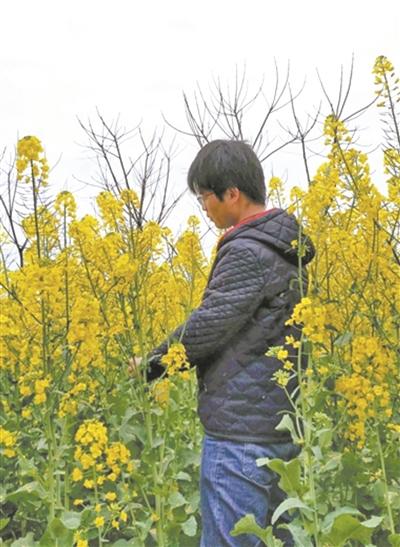 华中农大倡议学生就地下田